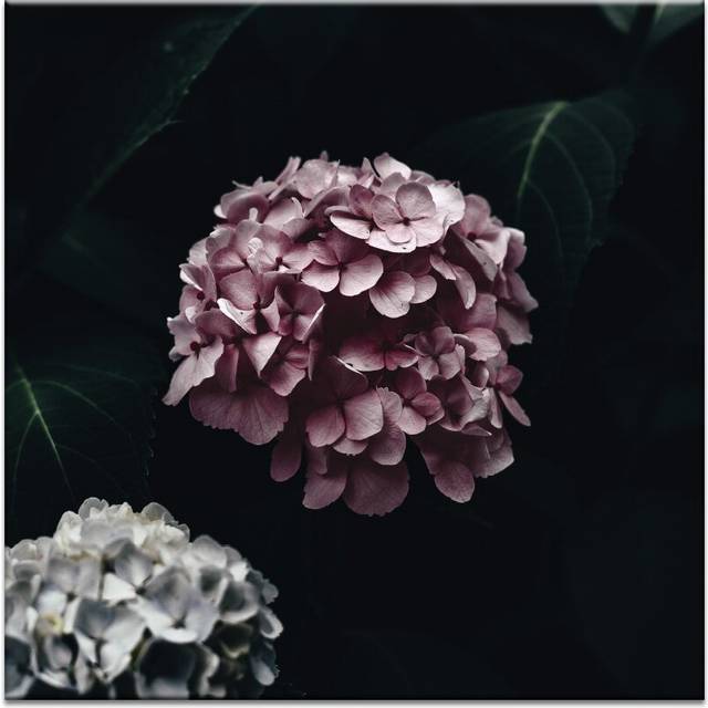 &#39;Tiny Butterfly&#39; Photograph on Canvas - Wrapped Canvas (102cm H x 102cm W)