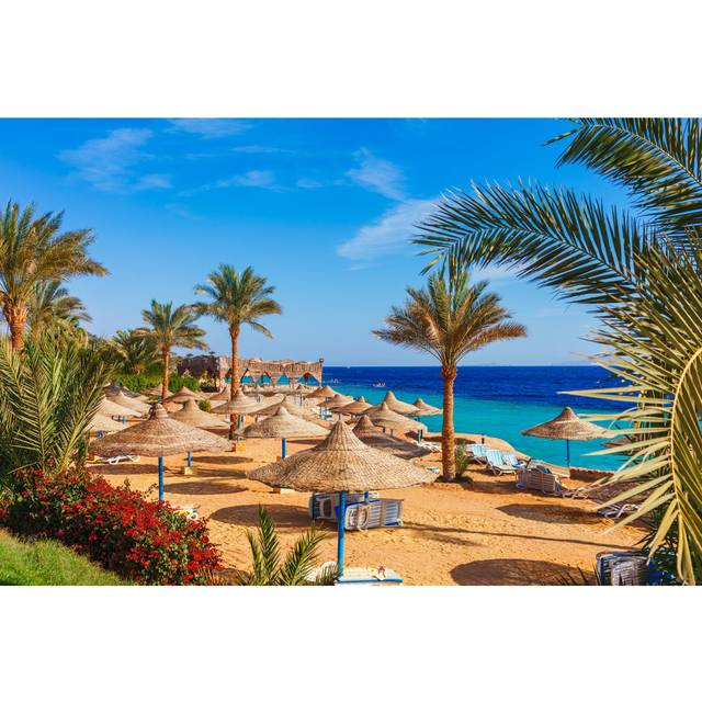 Sunny Resort Beach with Palm Tree - Wrapped Canvas Photograph (51cm H x 76cm W)