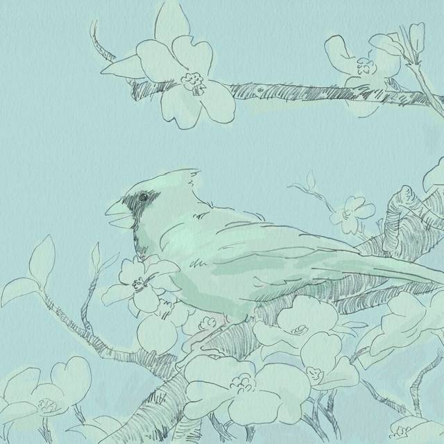 Backyard Bird Sketch II by Jacob Green - Wrapped Canvas Drawing (91cm H x 91cm W x 3.8cm D)
