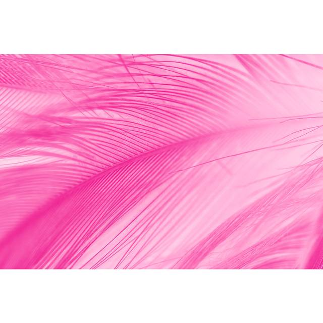 Beautiful Feather by Nadtytok - Wrapped Canvas Photograph (20cm H x 30cm W x 3.8cm D)