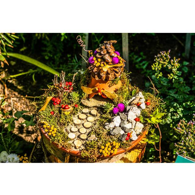 Fairy House in a Tree Stump by Justahobbymommy - Wrapped Canvas Photograph (30cm H x 46cm W)