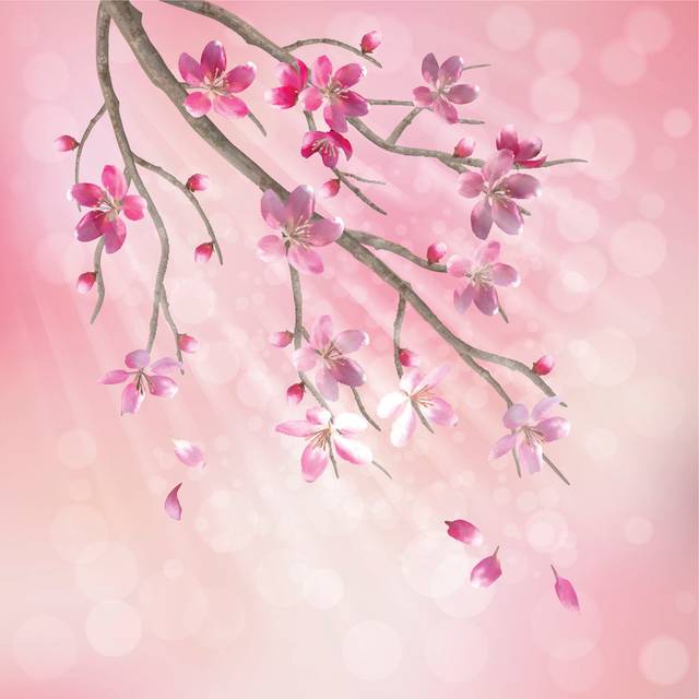 Sierraville Cherry Blossom Flowers by Kostins - Print (30cm H x 30cm W x 3.8cm D)