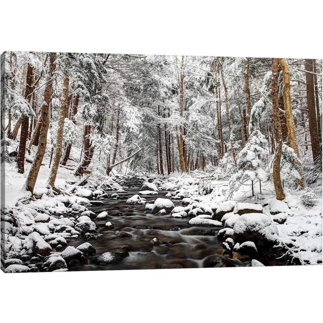 &#39;Stream in Winter, Nova Scotia, Canada - Horizontal&#39; by Nan - Wrapped Canvas Photograph Print (101.6 cm H x 66.04 cm W x 3.175 cm D)