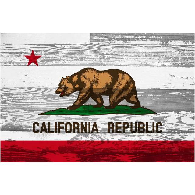 California State Flag on Wood Panels - Wrapped Canvas Graphic Art (20.32 cm H x 30.48 cm W)