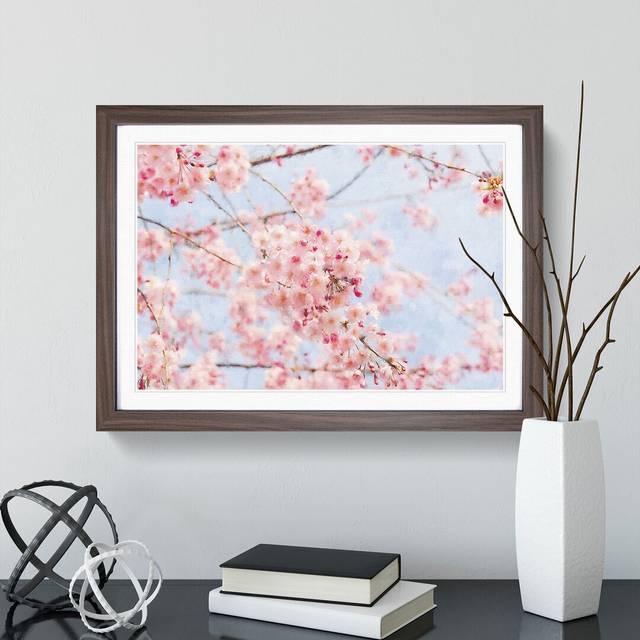 Pink Cherry Blossom Flowers Vol.9 - Picture Frame Graphic Art - Walnut Framed (27cm H x 36cm W x 2cm D)