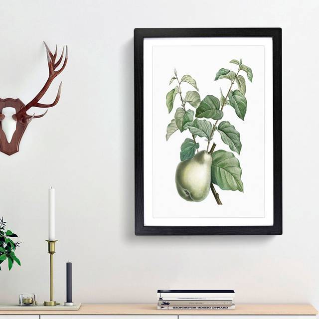 Pear Fruit by Pierre-Joseph Redoute - Picture Frame Painting Print - Black Framed (36cm H x 27cm W x 2cm D)