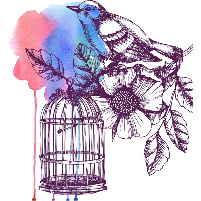 Coppell Bird, Cage and Flower - Wrapped Canvas Painting (30cm H x 30cm W x 3.8cm D)