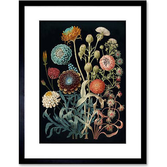 Wall Art Print Vintage Botanical Ernst Haeckel Style Plant Study Modern Watercolour Painting Artwork Framed 9X7 Inch - Black - W7 inch x H9 inch