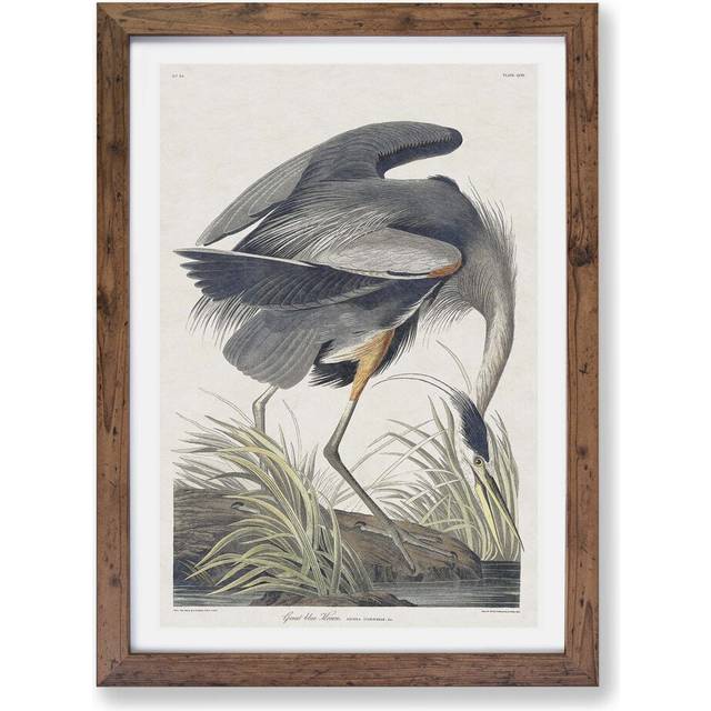 'Great Blue Heron' by John James Audubon - Picture Frame Painting Print on Paper - Walnut (33cm H x 45cm W x 2cm D)