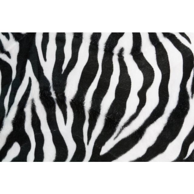 Norphlet Zebra Texture Background - Wrapped Canvas Photograph (51cm H x 76cm W x 3.8cm D)