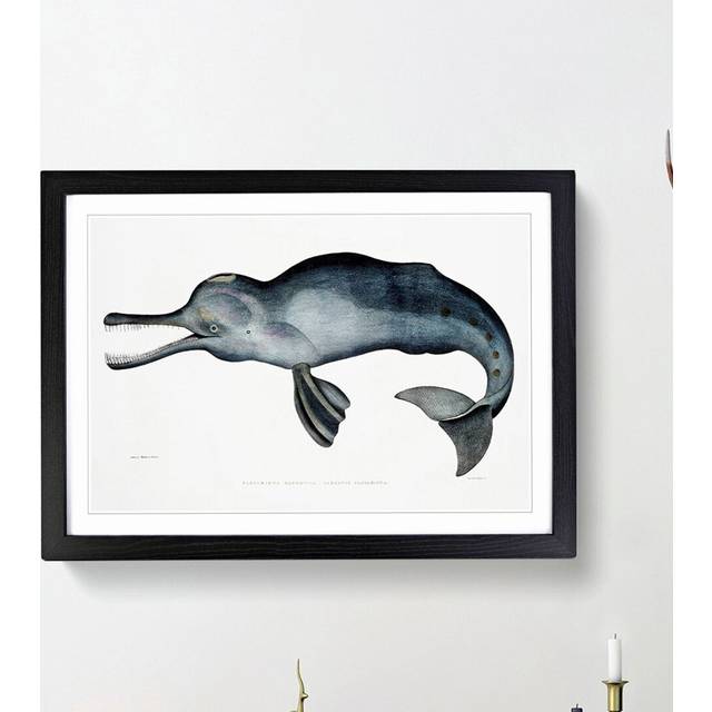 River Dolphin by John Edward Gray - Picture Frame Painting Print - Black Framed (27cm H x 36cm W x 2cm D)