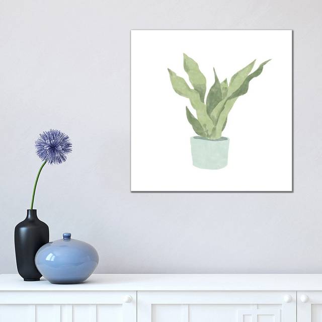 Snake Plant II by Bannarot - Wrapped Canvas Art Prints (45.72 cm H x 45.72 cm W x 3.175 cm D)
