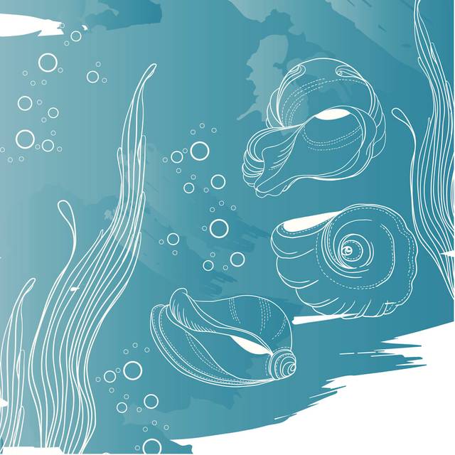 Geller Sea Shells and Algae by Rively - Wrapped Canvas Graphic Art (51cm H x 51cm W x 3.8cm D)