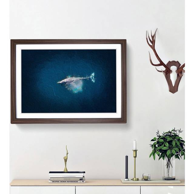 Swimming Dolphin - Picture Frame Painting Print - Walnut Framed (27cm H x 36cm W x 2cm D)