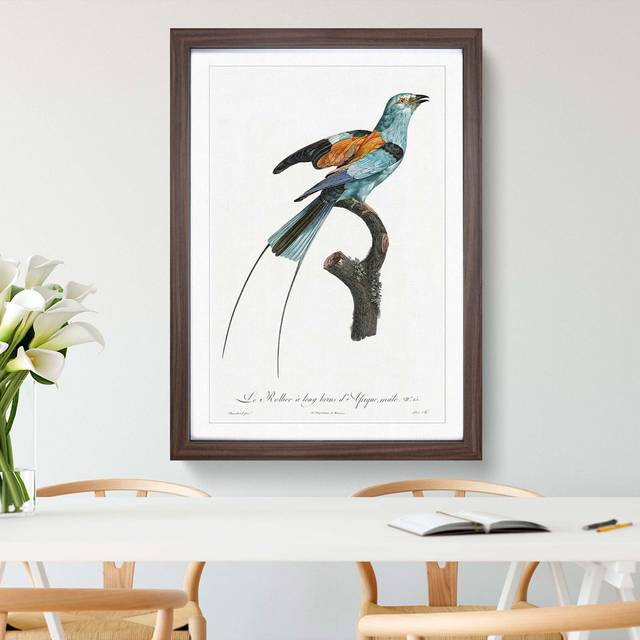 Long-Stranded African Roller Bird by Jacques Barraband - Picture Frame Painting Print - Walnut Framed (36cm H x 27cm W x 2cm D)