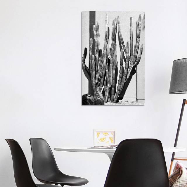 Black California Series - Cactus Style - Wrapped Canvas Photograph (101.6 cm H x 66.04 cm W x 1.91 cm D)