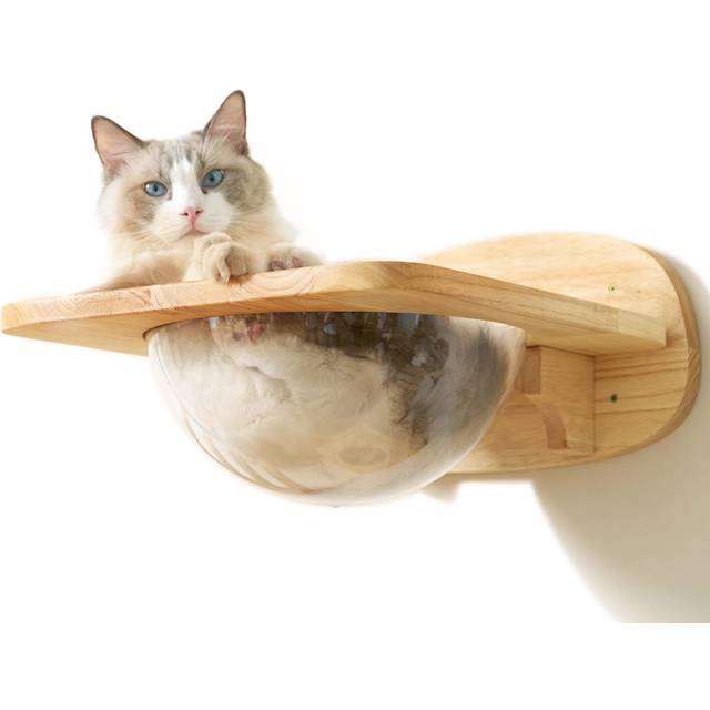 FUKUMARU Kattväggmöbler, genomskinliga katthyllor och sittpinnar för vägg – premium kattsäng för att sova, leka, klättra och slappa – rymmer enkelt upp till 15,9 kg