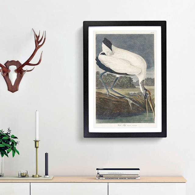 Wood Stork by John James Audubon - Picture Frame Painting Print - Black Framed (36cm H x 27cm W x 2cm D)