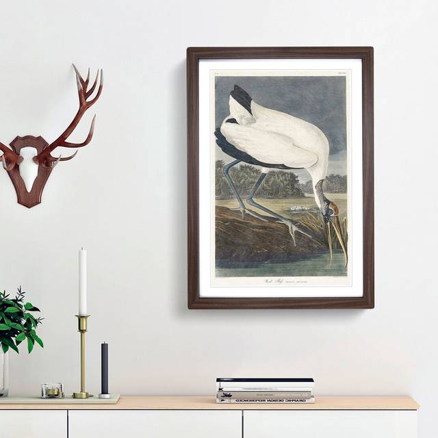 Wood Stork by John James Audubon - Picture Frame Painting Print - Walnut Framed (36cm H x 27cm W x 2cm D)