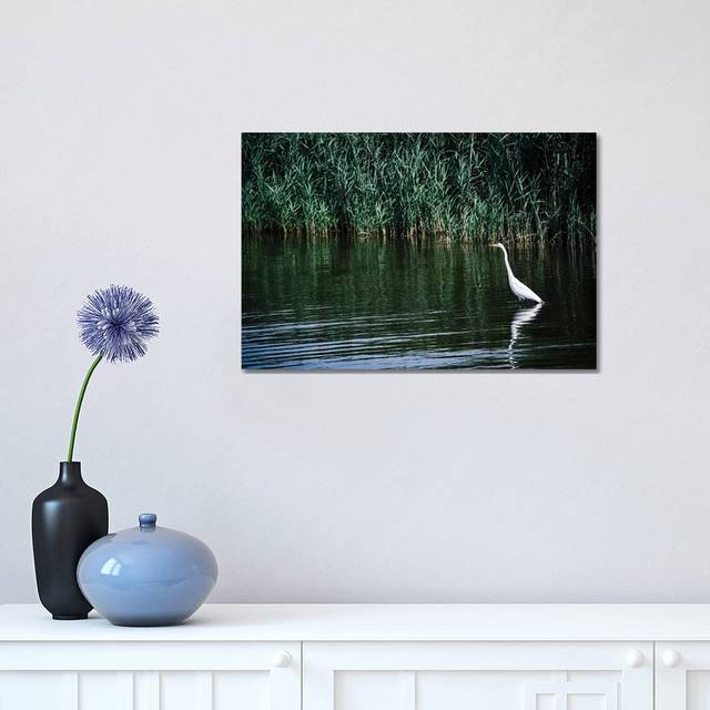 Solitude - Outer Banks, North Carolina (30.48 cm H x 45.72 cm W)