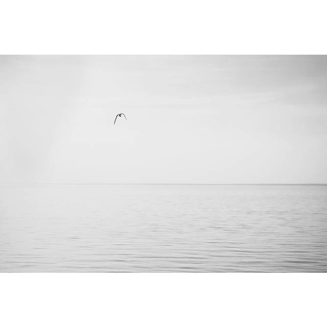 Black & White Water Panel XVI (81cm H x 122cm W)