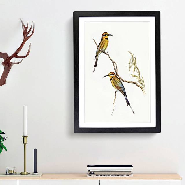 Australian Bee-Eater by Elizabeth Gould - Picture Frame Painting Print on Paper - Black Framed (63cm H x 45cm W x 2cm D)