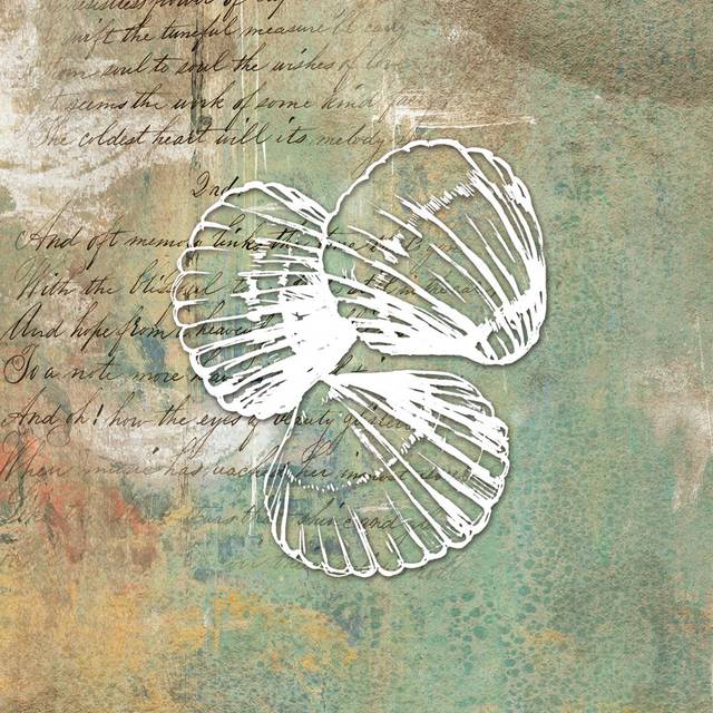 Distress Sea Shell 1 (122cm H x 122cm W x 3.8cm D)