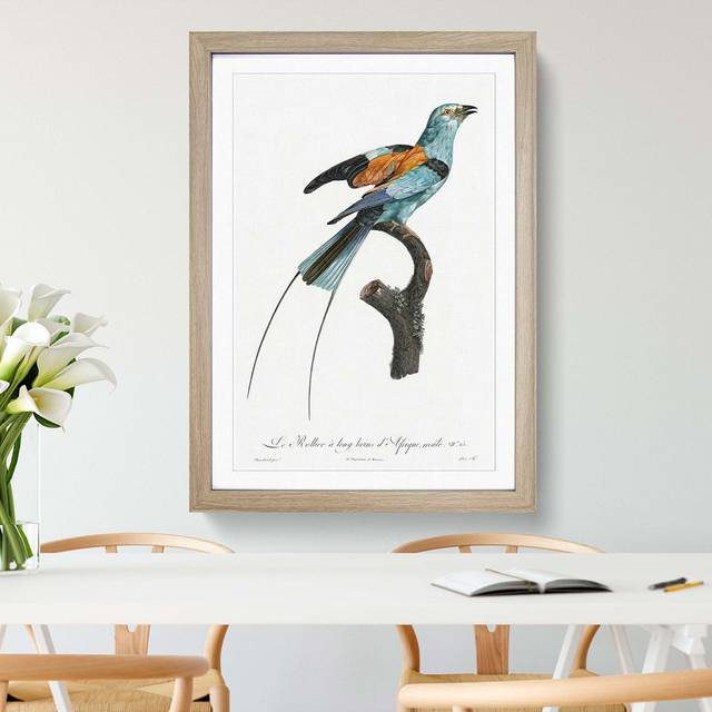 Long-Stranded African Roller Bird by Jacques Barraband - Picture Frame Painting Print - Oak Framed (36cm H x 27cm W x 2cm D)