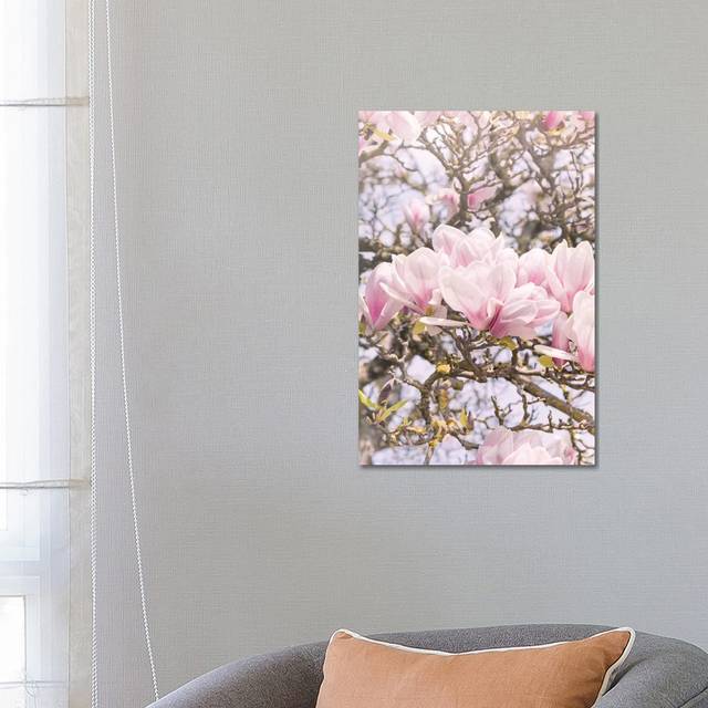 Blooming Magnolia In Montmartre Paris (66.04cm H x 45.72cm W x 1.91cm D)