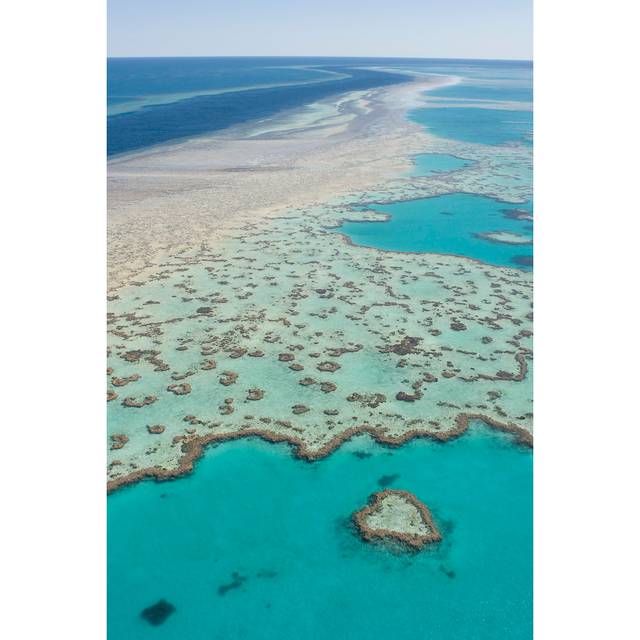 Great Barrier Reef (76cm H x 51cm W x 3.8cm D)