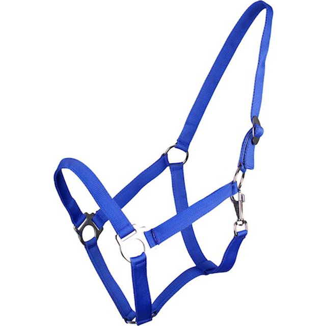 Horse halter with slider Q-essentials - Bleu