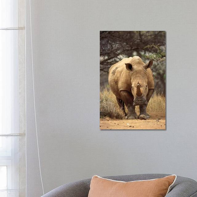 White Rhinoceros Female, Lewa Wildlife Conservancy, Kenya by Gerry Ellis - Wrapped Canvas Photograph (66.04 cm H x 45.72 cm W x 1.91 cm D)