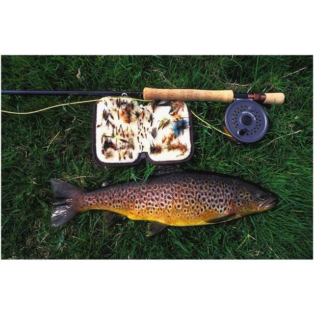 Wild Brown Trout & Fishing Rod Poster Print, 38 x 24 - Large