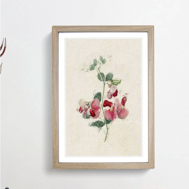 Illustration of Pink Sweet Pea Flowers - Picture Frame Painting Print - Oak Framed (36cm H x 27cm W x 2cm D)