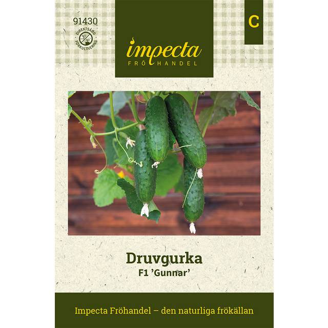 Druvgurka Gunnar F1