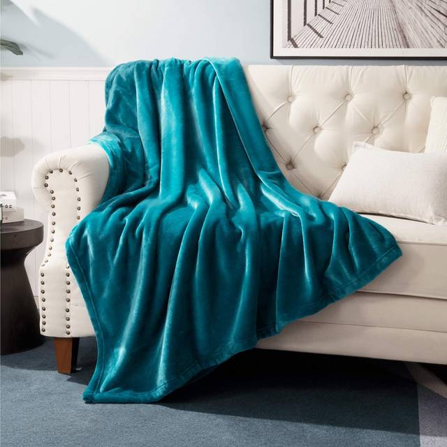 Bedsure Fleece Blanket for couch  Sofa  Bed  Soft Lightweight Plush cozy Blankets and Throws for Toddlers  Kids  Teal - 300gSM