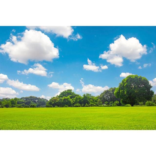 Green Park Outdoor with Blue Sky Cloud - Wrapped Canvas Photograph (20cm H x 30cm W)