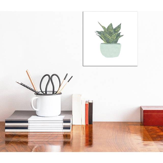 Snake Plant IV by Bannarot - Wrapped Canvas Graphic Art (30.48 cm H x 30.48 cm W)