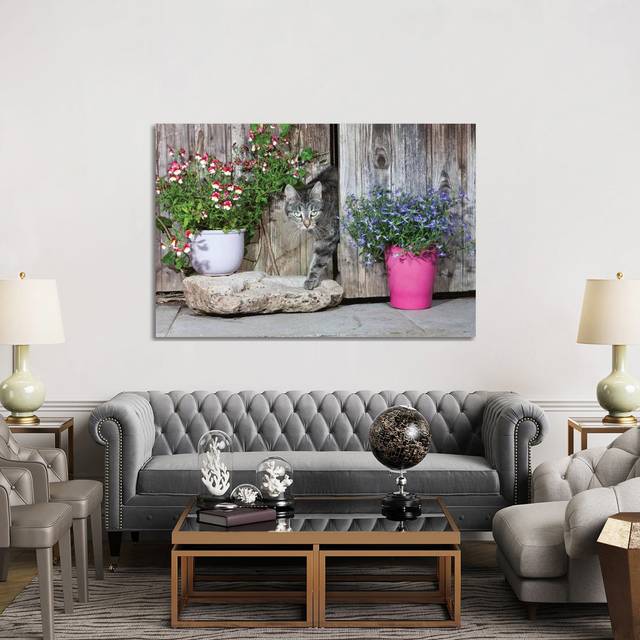 Domestic Cat Female Tabby Emerging From Shed, Lower Saxony, Germany by - Wrapped Canvas Photograph (101.6cm H x 152.4cm W x 3.81cm D)