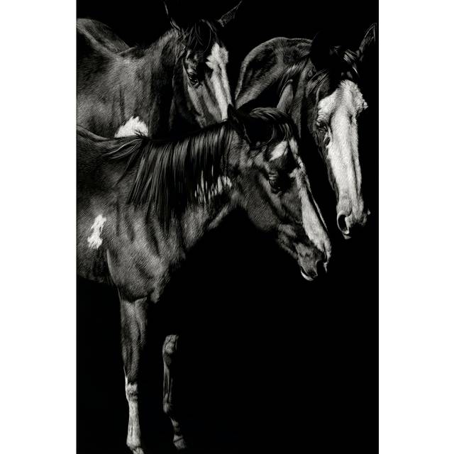 Scratchboard Blaze Buddies - Wrapped Canvas Photograph (122cm H x 81cm W x 3.8cm D)