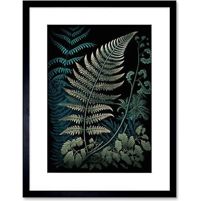Wall Art Print Detailed Fern Frond Species Botanical Artwork Framed 9X7 Inch - Black - W7 inch x H9 inch