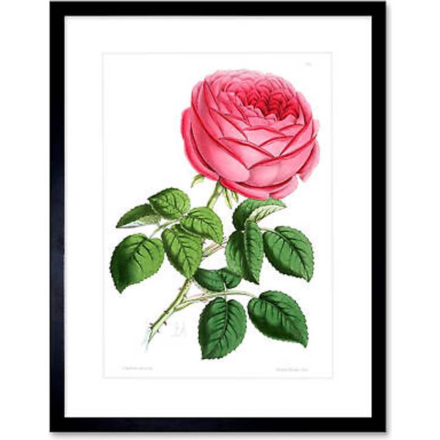 Wall Art Print Flower Red Pink Rose Artwork Framed 9X7 Inch - Black - W7 inch x H9 inch