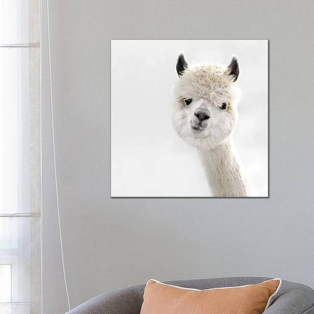 Peeky Alpaca Square by Monika Strigel - Wrapped Canvas Graphic Art (66.04cm H x 66.04cm W x 3.81cm D)