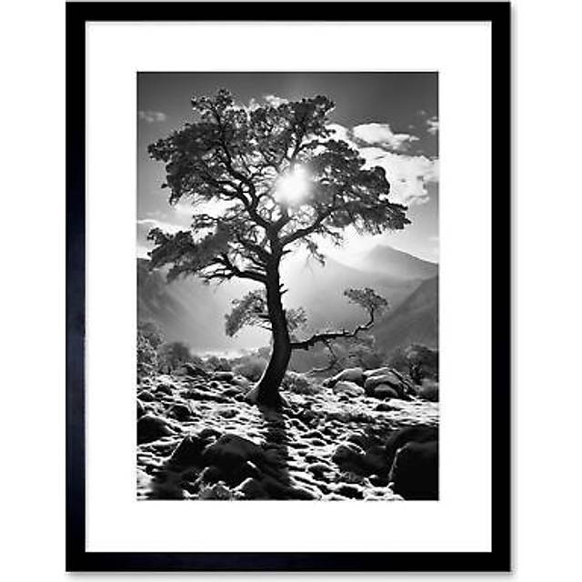 Wall Art Print Frozen Tree Outline in Mountain Forest Landscape Covered in Snow Black and White Photograph Winter Sunshine Artwork Framed 9X7 Inch - W - W7 inch x H9 inch