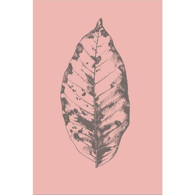 Malerifabrikken - Poster Botanica 1 - Rosa
