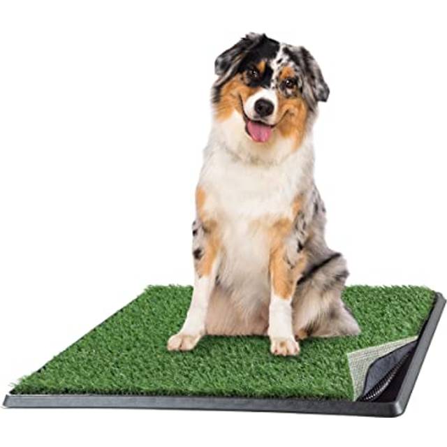 Artificial Grass Puppy Pee Pad for Dogs and Small Pets - 20x25 Reusable 4-Layer Training Potty Pad with Tray - Dog Housebreaking Supplies by PETMAKER