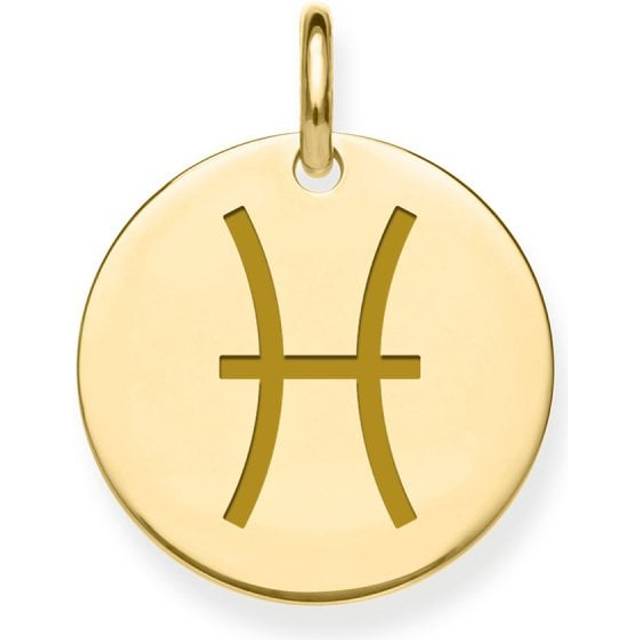 9ct Yellow Gold Pisces Zodiac Pendant PN1302
