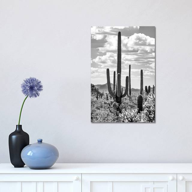 Giant Saguano Cactus by Unknown - Wrapped Canvas Photograph on Canvas (30.48 cm H x 45.72 cm W)