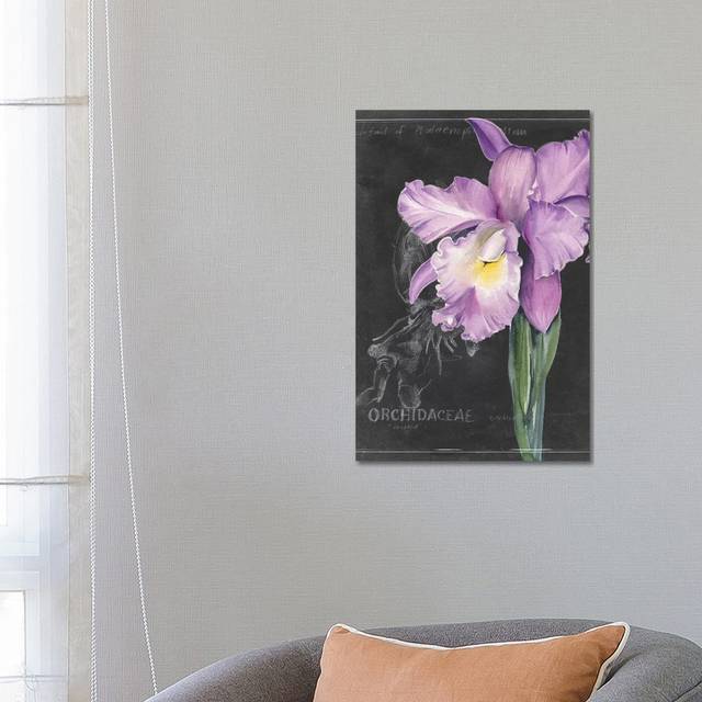 Chalkboard Flower II by Jennifer Paxton Parker - Wrapped Canvas Painting (66.04 cm H x 45.72 cm W x 1.91 cm D)