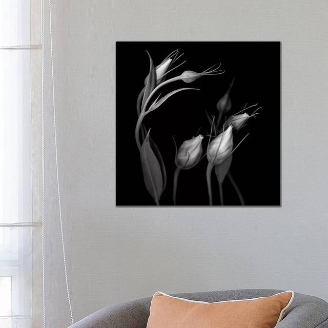 Lisianthus IV, B&W by Magda Indigo - Wrapped Canvas Graphic Art (66.04cm H x 66.04cm W x 1.905cm D)